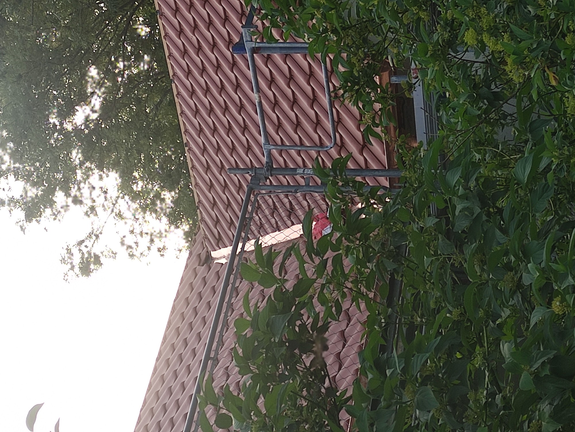 CVJM 10735 IMG 20220619 204527 lpr